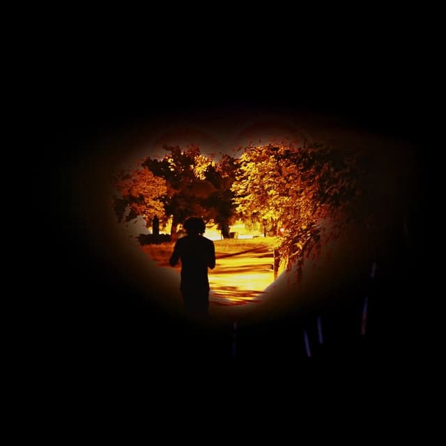 Anges Déchus Cover